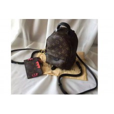 Louis Vuitton M41562 Palm Springs Mini Backpack