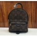 Louis Vuitton Monogram palm spring backpack mini M41562(2a153-7021502)