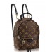 Louis Vuitton Monogram palm spring backpack mini M41562(2a153-7021502)