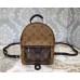 Louis Vuitton Palm Springs Backpack Mini M42411