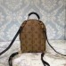 Louis Vuitton Palm Springs Backpack Mini M42411