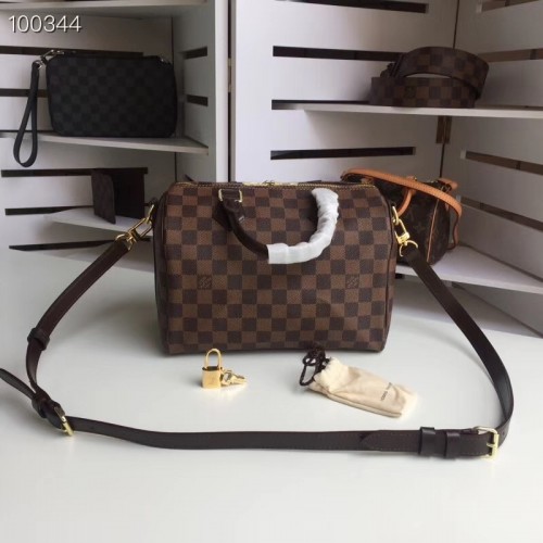 Louis Vuitton SPEEDY 2020-21FW Speedy 25 (N41365, M41109)