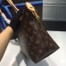 LOUIS VUITTON IÉNA PM