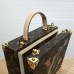 Louis Vuitton Print Monogram Canvas Box Bag 2019