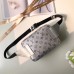 Louis Vuitton Monogram Silver Canvas Bumbag Bag M43828 2018