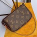 Louis Vuitton Monogram Canvas Mini Pochette Accessoires Bag Print