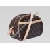 LOUIS VUITTON MONOGRAM CANVAS BLOIS SHOULDER BAG