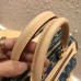 Louis Vuitton Monogram Denim Neo Speedy Bag