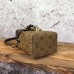 LOUIS VUITTON CAMERA BOX BAG 2017