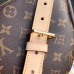 Louis Vuitton Monogram Canvas Bumbag M43644 Brown 2018