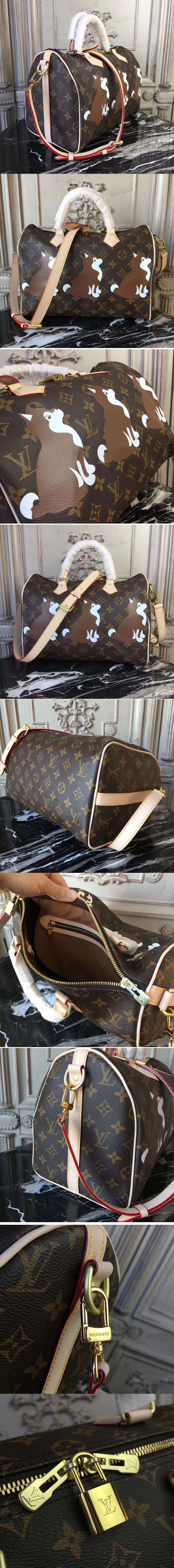 Replica Louis Vuitton Dog Print Speedy Bandouliere 30 M41112 Bags