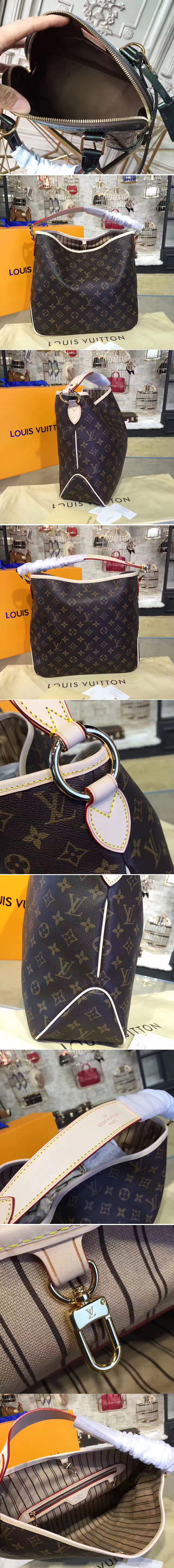 Replica Louis Vuitton M50154 Delightful Pm Monogram Canvas Bags